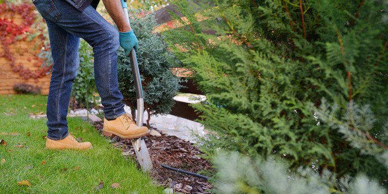 Landscaping in the Fall