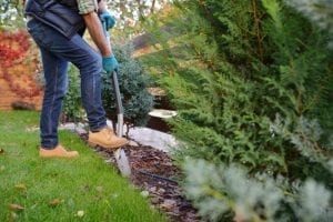 Landscaping in the Fall