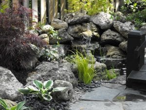 Maxwell Stone Gallery