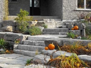 Maxwell Stone Gallery